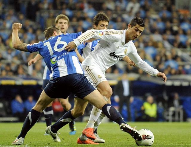 球迷和评论 球迷和评论